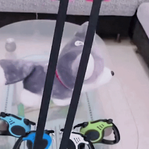 laisse pour chien | Securylocky