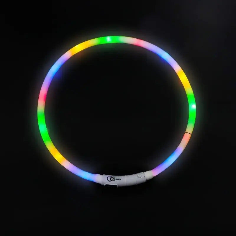 collier lumineux pour chien arc en ciel