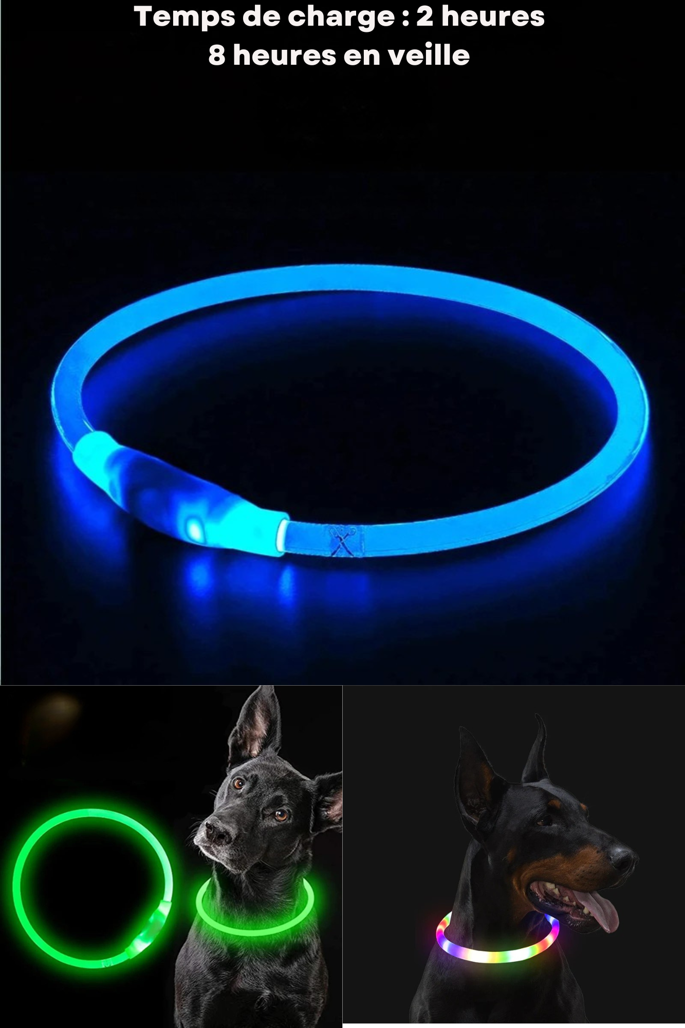 collier lumineux pour chien
