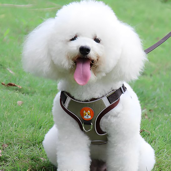Harnais pour chien brun gris