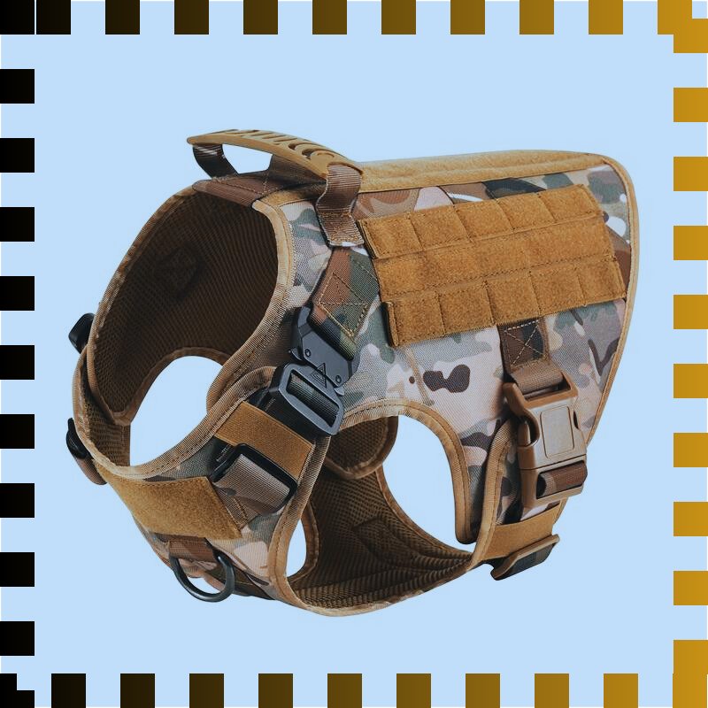 harnais pour chien militaire