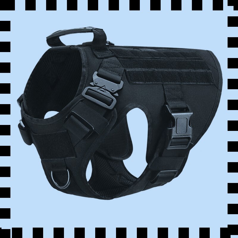 harnais pour chien noir