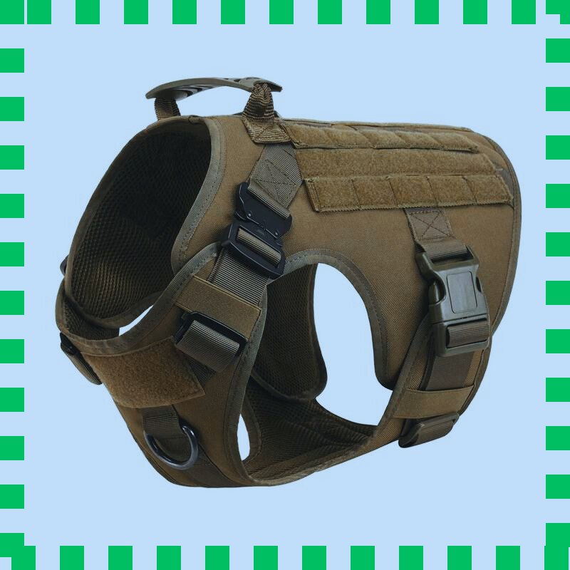 harnais pour chien vert