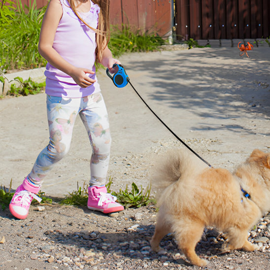 laisse chien fillette security
