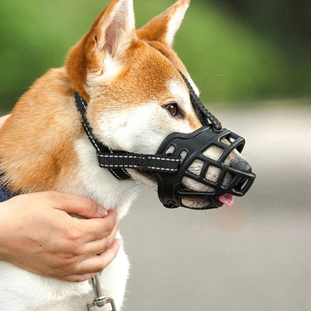 museliere sur chien