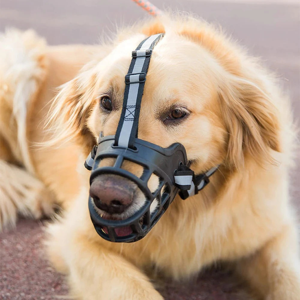 museliere pour chien
