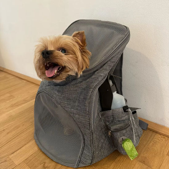 sac a dos chien heureux