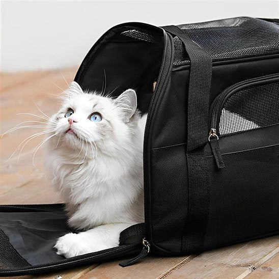 Sac noir de transport pour chat