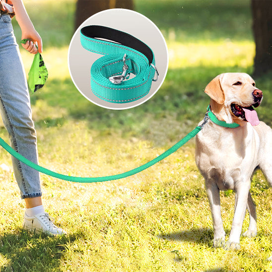 une laisse pour chien : Ideal pour vos promenades
