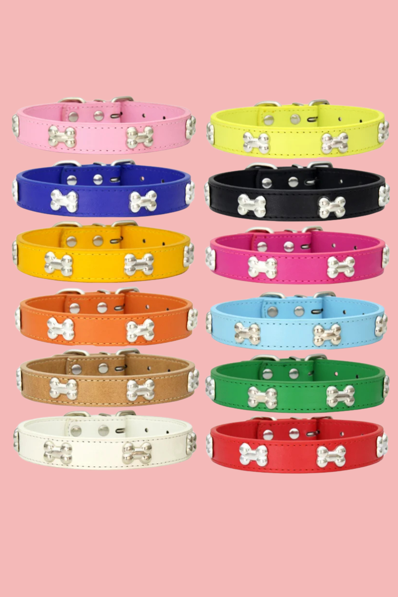 12 collier dressage pour chien 