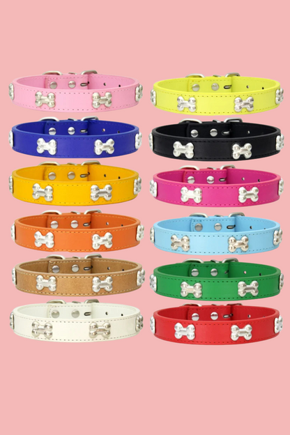 12 collier dressage pour chien 