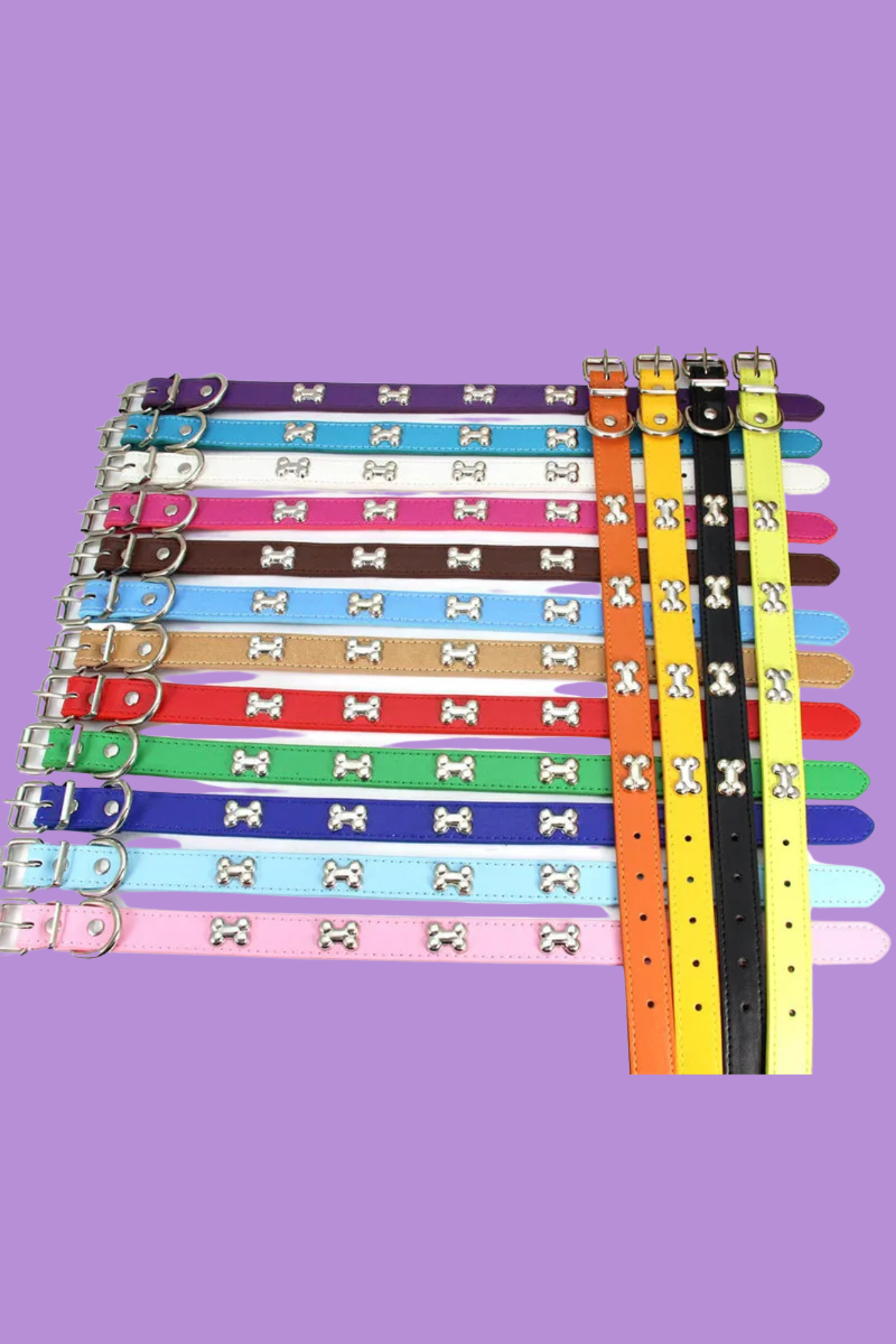 17 collier dressage pour chien 
