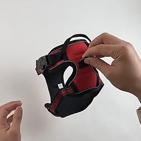 Harnais pour chien | Confort et Sécurité