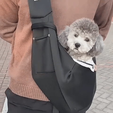 Sac de transport pour chien | Confort Sécurisé