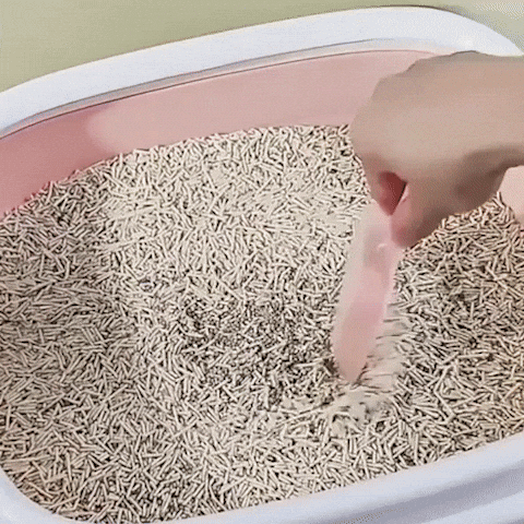 Bac à litière chat | Anti-Odeurs Ultra-Pratique