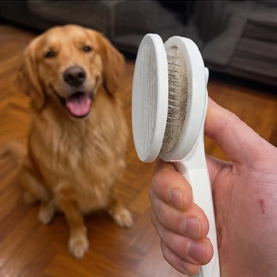 AntiPoils Brosse pour Chien
