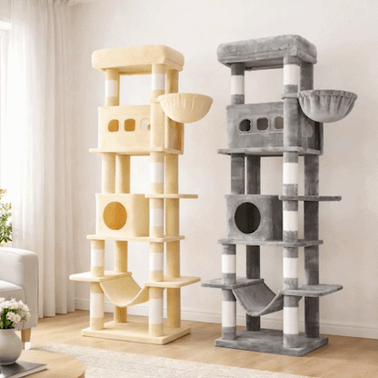 Arbre à Chat | Design Robuste