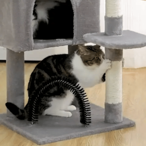 Arbre à chat | MultiFélin