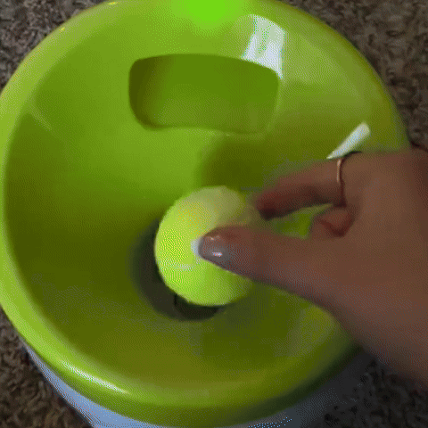 Lanceur de balle pour chien | AutoPlay