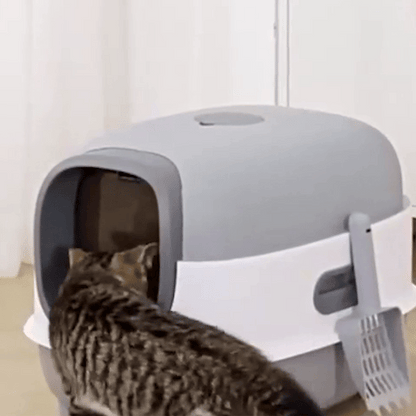 Bac à litière Chat | Facile à Nettoyer