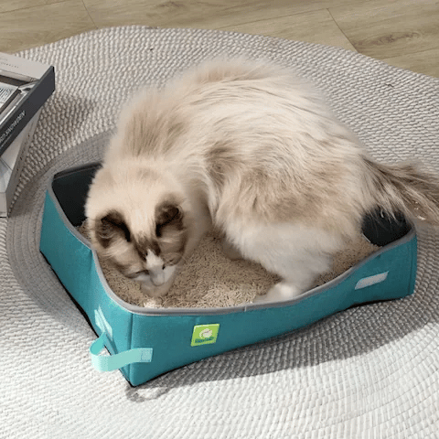 Bac à litière Chat | Anti-Odeurs