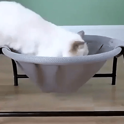 Hamac pour chat | Confort Suspendu