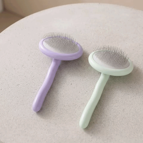 Brosse Chien | Anti-Nœuds