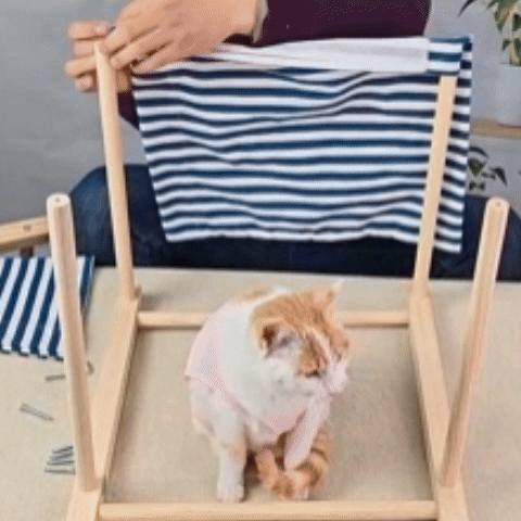 Hamac pour chat | Double-étage Félin