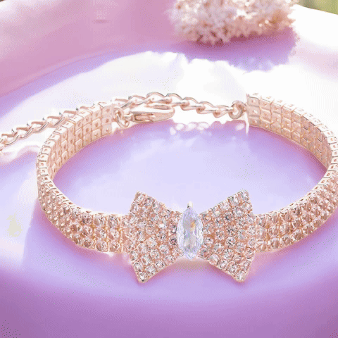 Collier chien | Premium Sécurisé