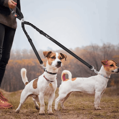 Double laisse pour chien | Premium Duo