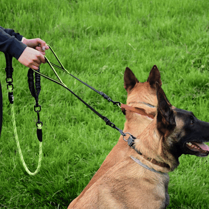 Double laisse pour chien | Anti-emmêlement