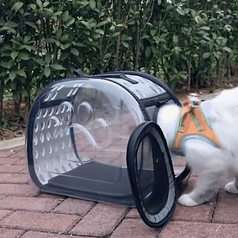 Sac de transport pour chat | Comfort Travel