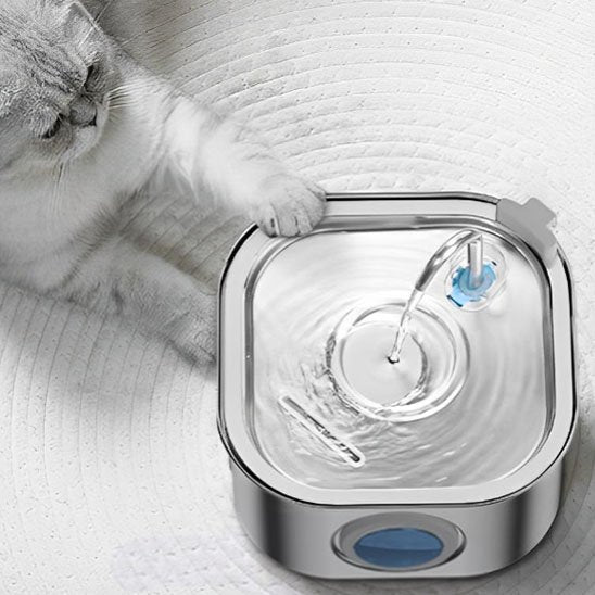 Filtrée fontaine a eau chat