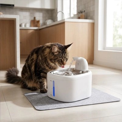 Filtrante Fontaine a eau Chat