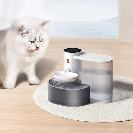 Filtration Continue Fontaine a eau chat Filtration Continue
