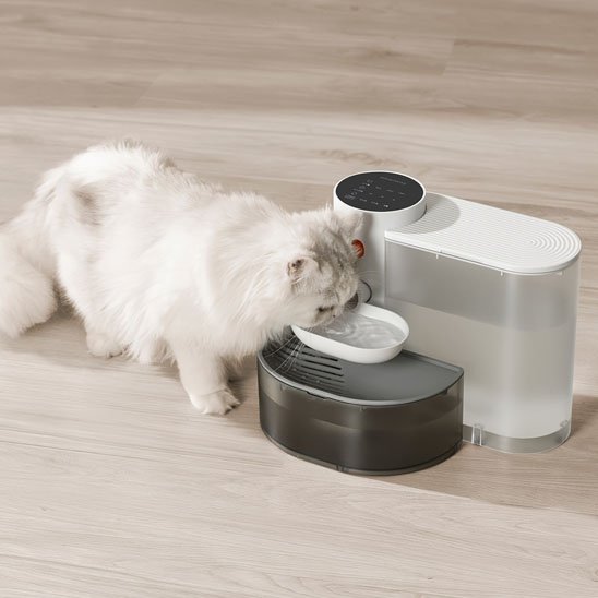 Filtration Continue Fontaine a eau chat gris