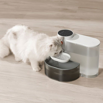 Filtration Continue Fontaine a eau chat gris