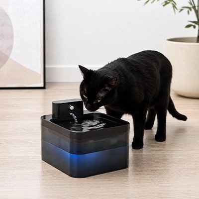 Filtration Continue Fontaine a eau Chat