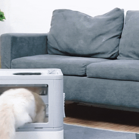 Bac litière chat | CleanBreeze