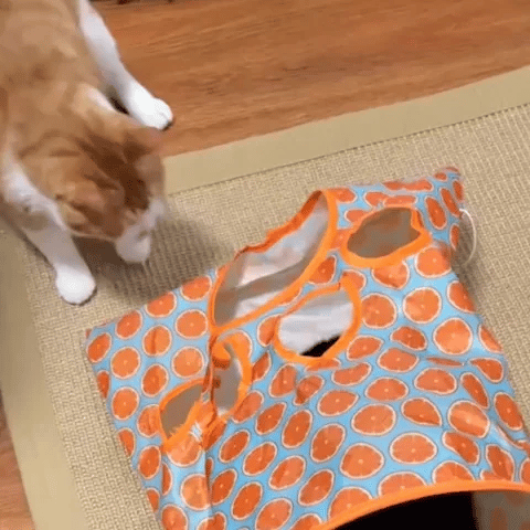 Tunnel chat | Pliable & Spacieux
