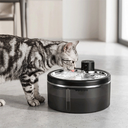 Fontaine à eau chat sans fil | Autonome