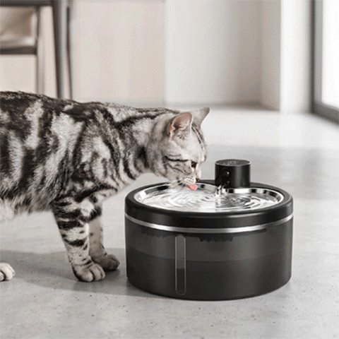 Fontaine à eau chat sans fil | Autonome