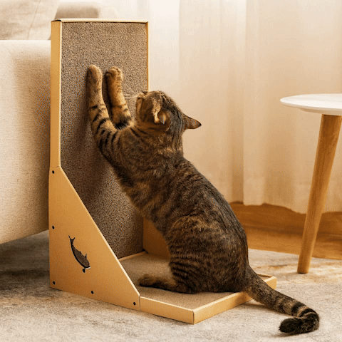 Griffoir en carton pour Chat | Durabliss