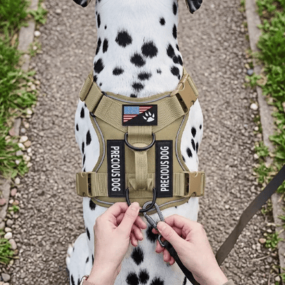 Harnais chien | Confort Anti-Traction