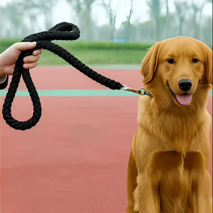 Laisse pour Chien | Ultra-Résistante