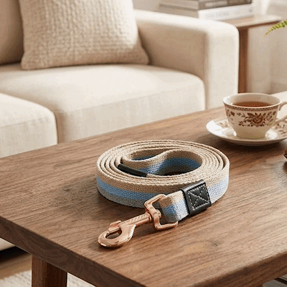 Laisse pour Chien | Robuste et Confortable