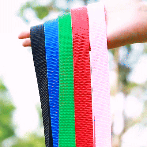Laisse pour chien | Robuste et Confortable