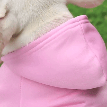 Pull pour chien | ChaudStyle