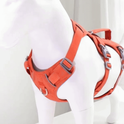 Harnais pour chien | Confort Sécurisé