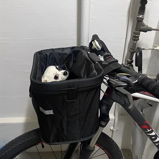 panier velo petit chien 